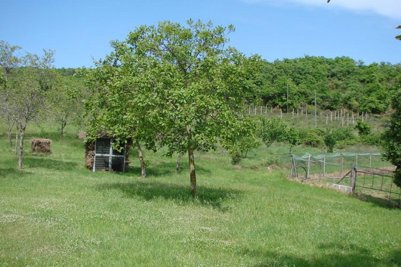Casa Vacanza Le Corniole 시비텔라인발디키아나 외부 사진